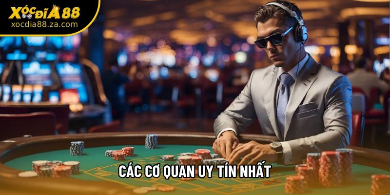 Các cơ quan uy tín nhất