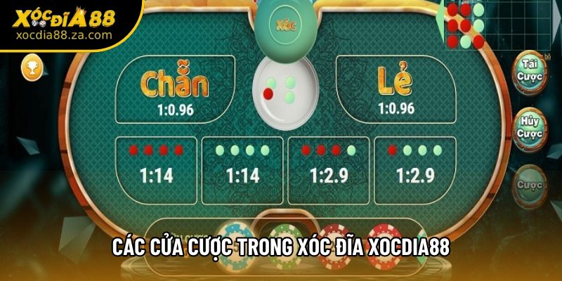 Các Cửa Cược Trong Xóc Đĩa Xocdia88 Có Gì Khác Biệt Khi Chơi?