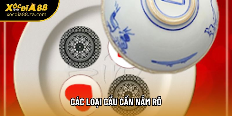 Các loại cầu cần nắm rõ