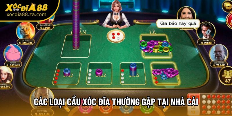 Các loại cầu xóc đĩa thường gặp tại nhà cái