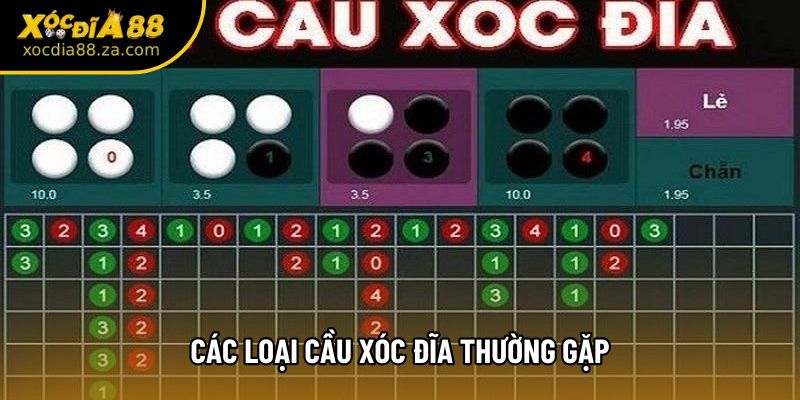 Các Loại Cầu Xóc Đĩa Thường Gặp Người Mới Nên Biết