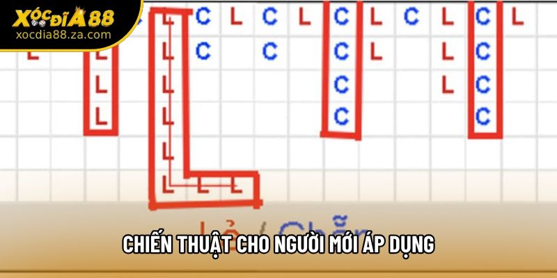 Chiến thuật cho người mới áp dụng