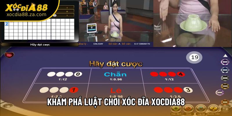 Khám phá luật chơi xóc đĩa Xocdia88 Khám phá luật chơi xóc đĩa Xocdia88