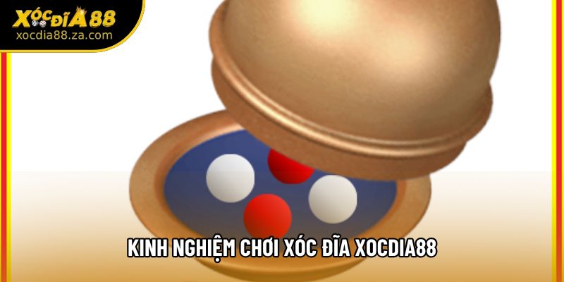 Kinh Nghiệm Chơi Xóc Đĩa Xocdia88 Chuẩn Xác Cho Người Vào Mới