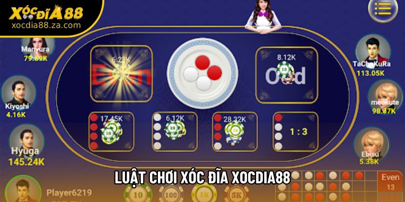 Luật Chơi Xóc Đĩa Xocdia88 - Chi Tiết Cho Người Mới Tham Gia