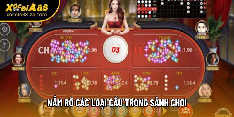 Nắm rõ các loại cầu trong sảnh chơi
