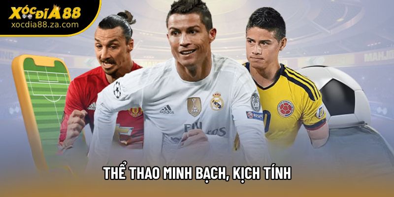 Thể thao minh bạch, kịch tính